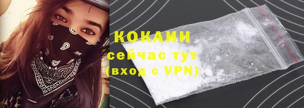 ГАЛЛЮЦИНОГЕННЫЕ ГРИБЫ Чекалин