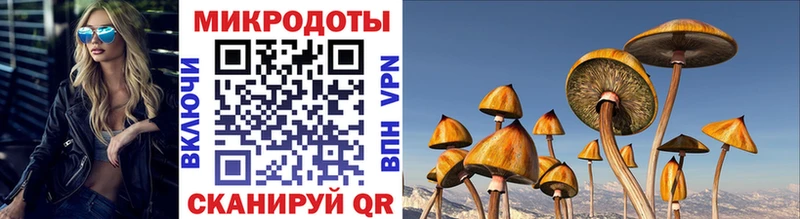 Псилоцибиновые грибы прущие грибы  Купить где  Боготол 