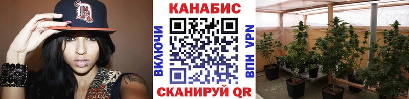 Бошки марихуана гибрид  Купить закладки  Боготол 
